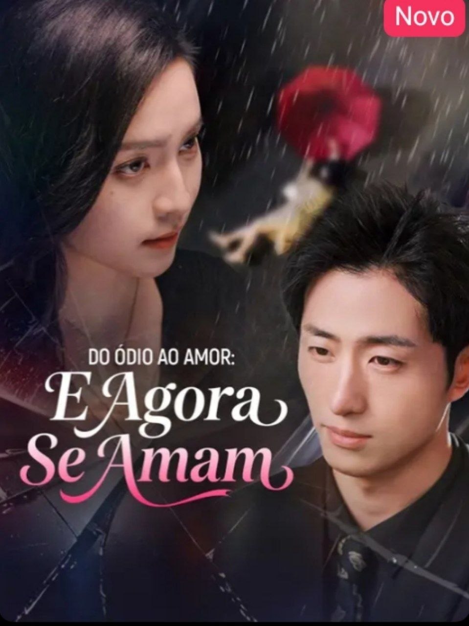 🎯 | DO ÓDIO AO AMOR E AGORA SE AMAM